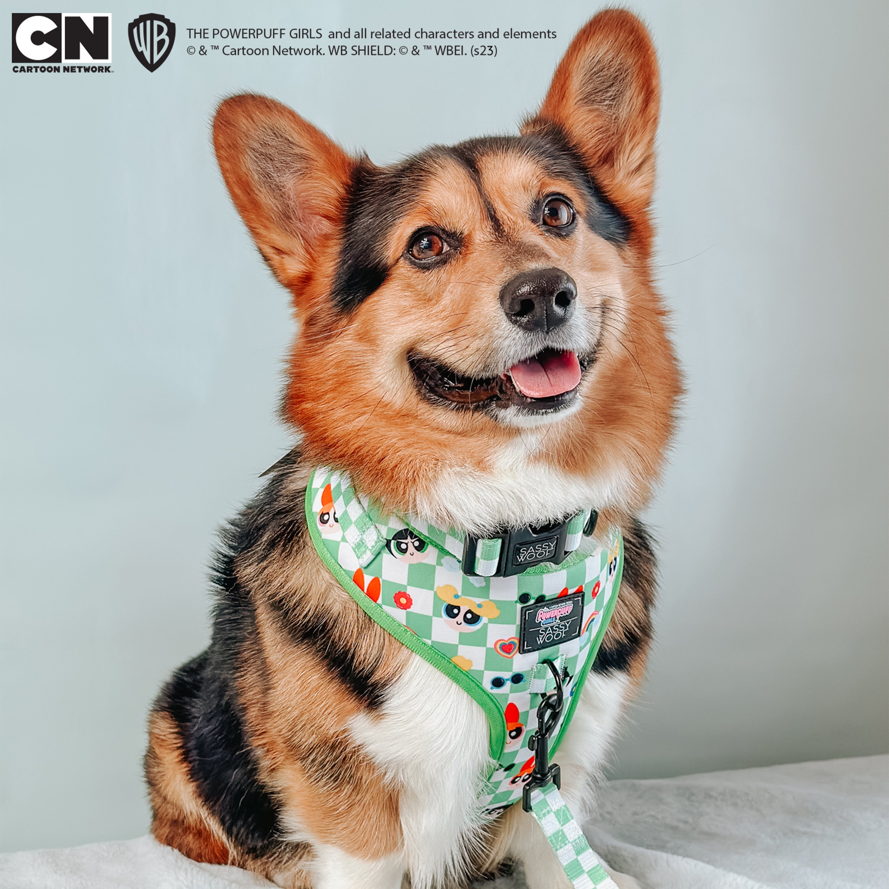 Dog Adjustable Harness - The Powerpuff Girls™ (Green)