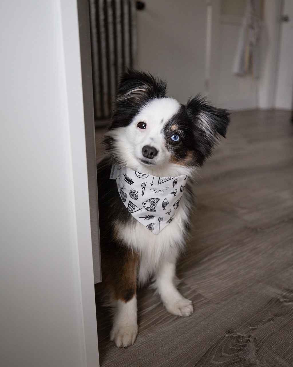 Adventure Bandana