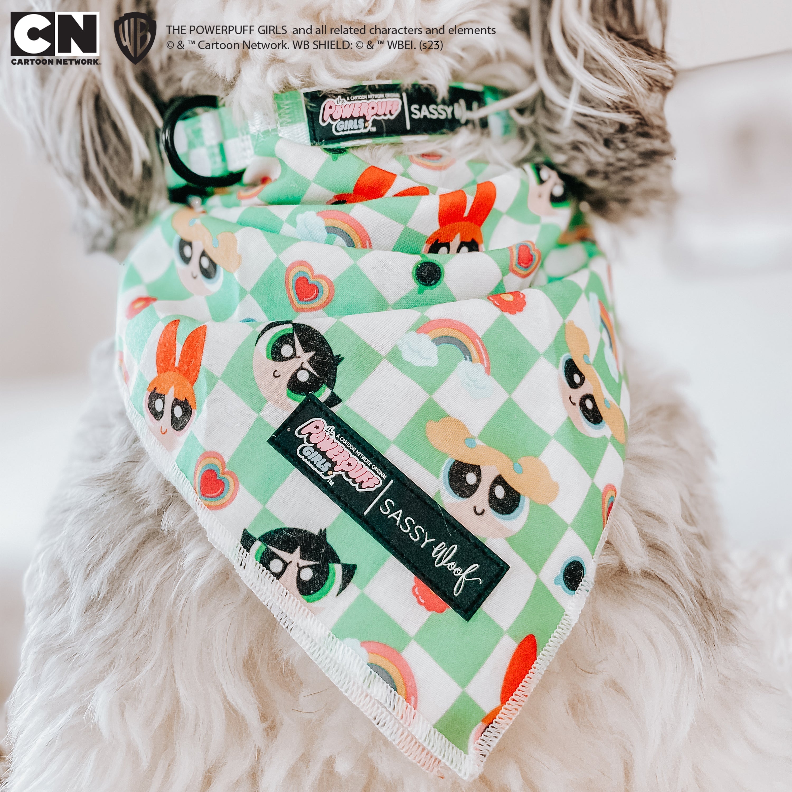 Dog Collar - The Powerpuff Girls™ (Green)