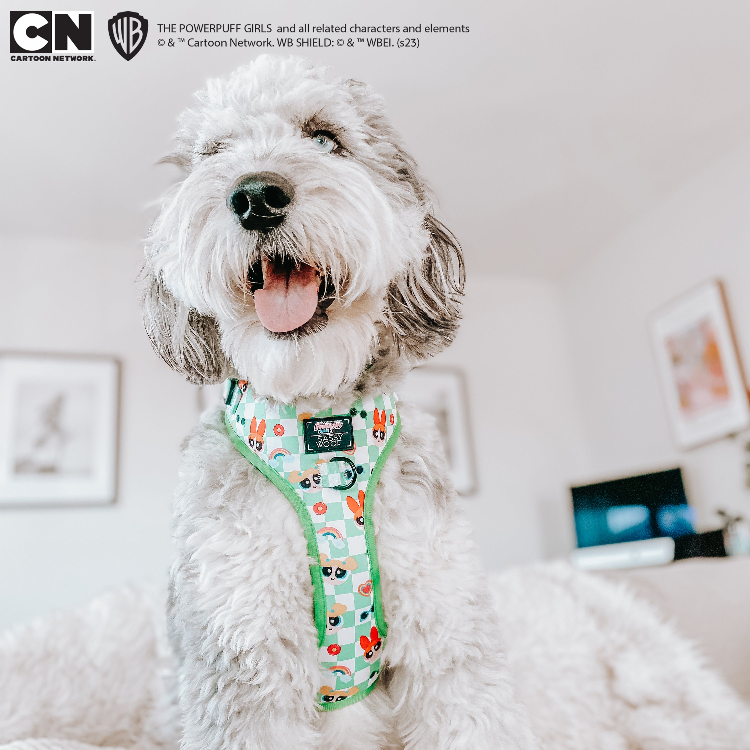 Dog Adjustable Harness - The Powerpuff Girls™ (Green)