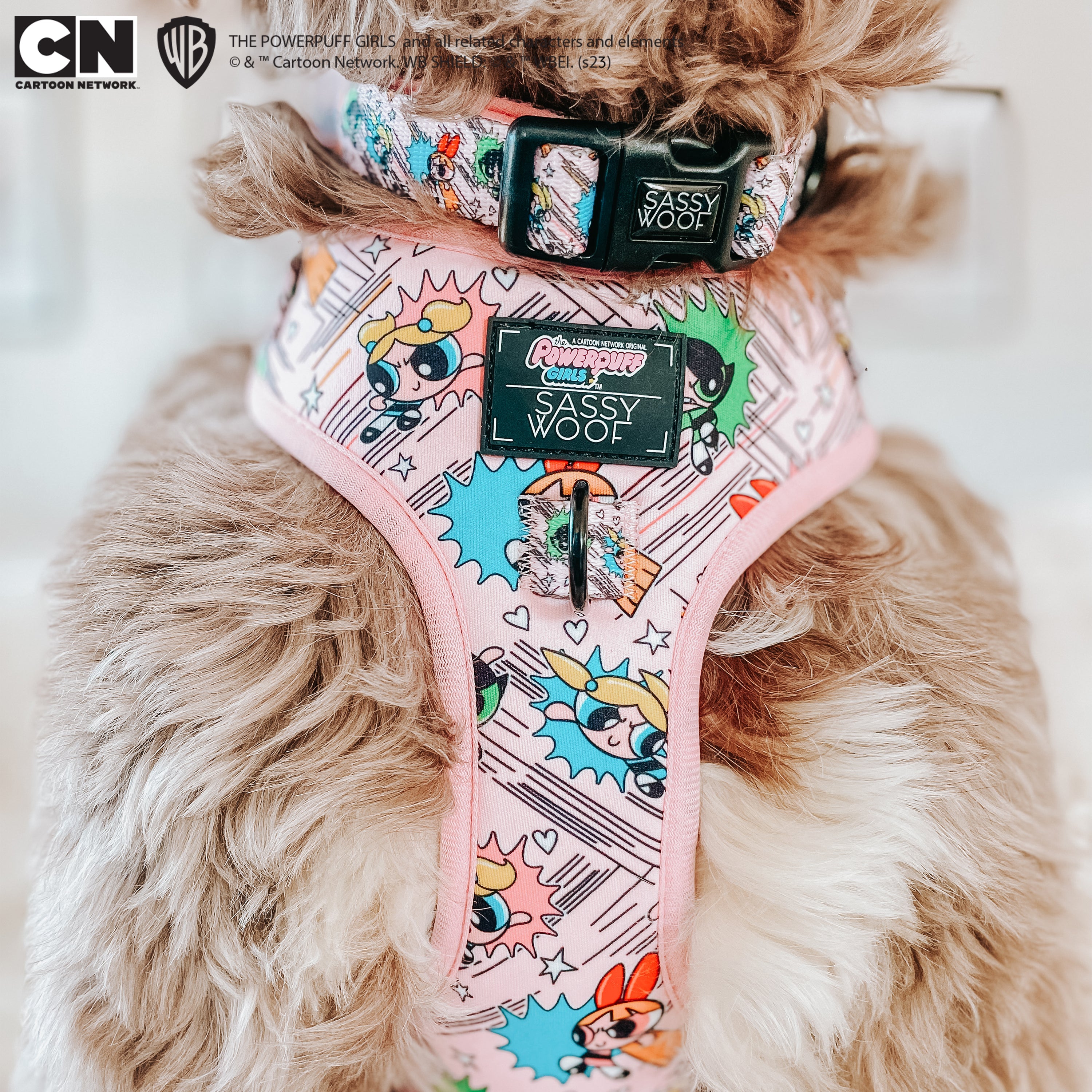 Dog Collar - The Powerpuff Girls™ (Pink)