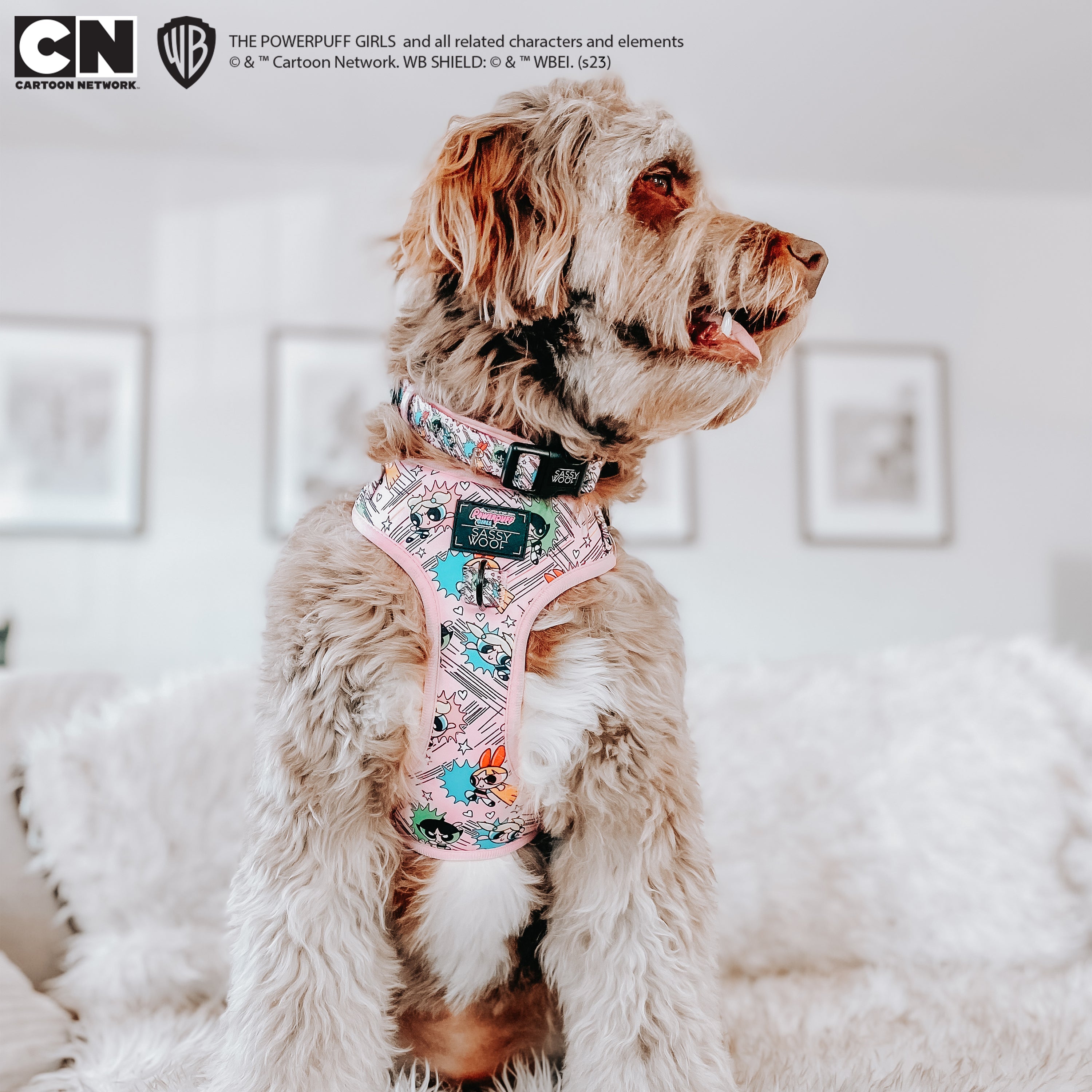 Dog Adjustable Harness - The Powerpuff Girls™ (Pink)
