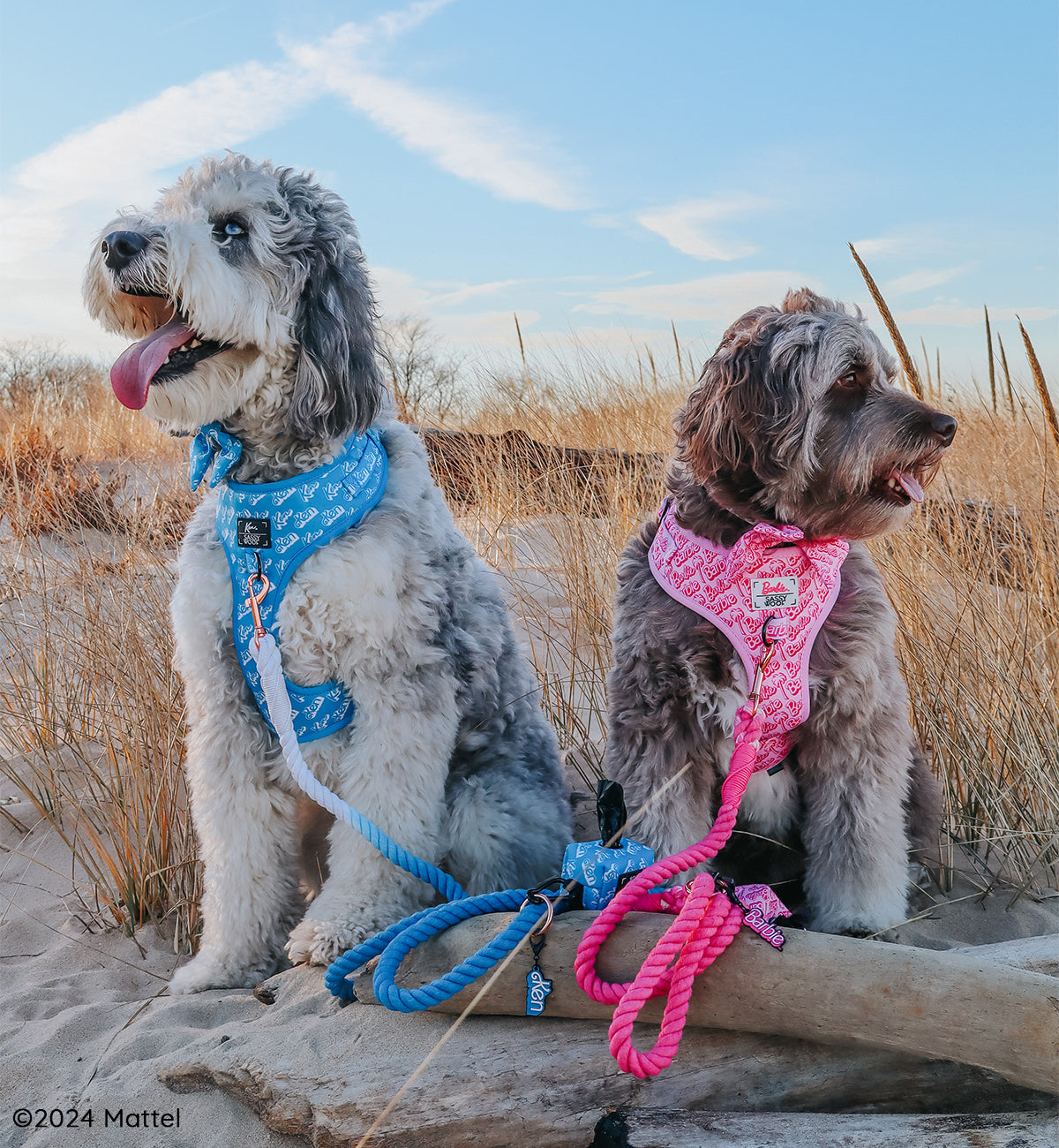 Dog Rope Leash - KEN™