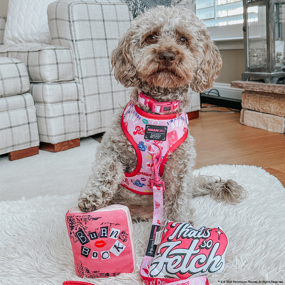 Dog Collar - Mean Girls™