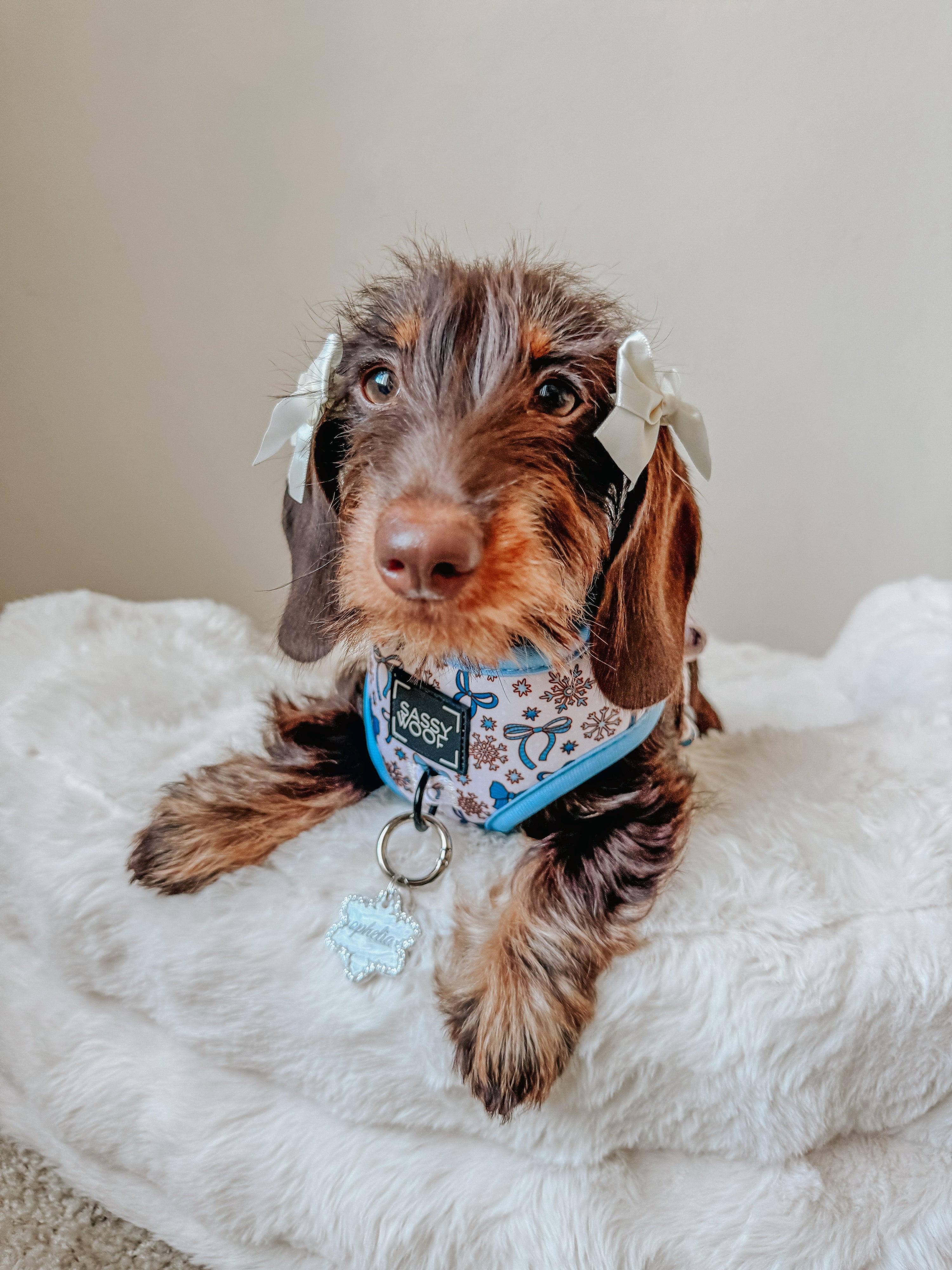 Dog Adjustable Harness - Let it Bow