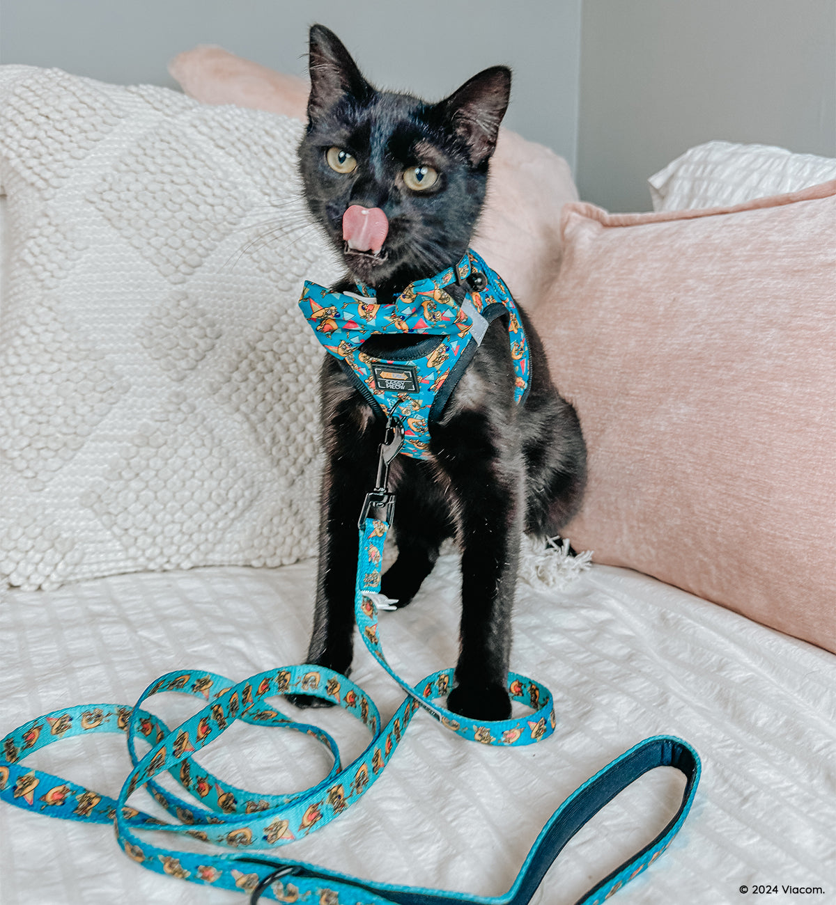 Cat Leash - Nickelodeon CatDog™