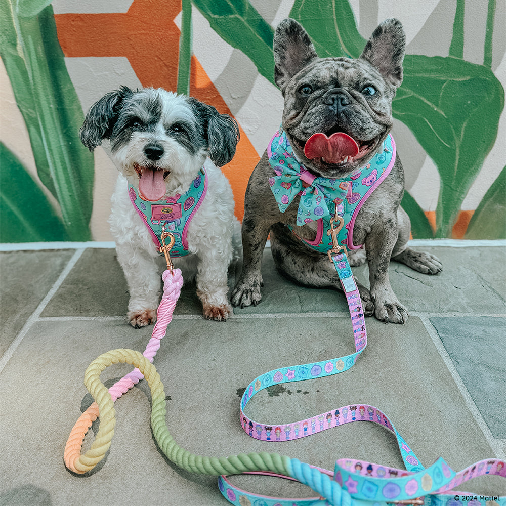 Dog Rope Leash - Polly Pocket™