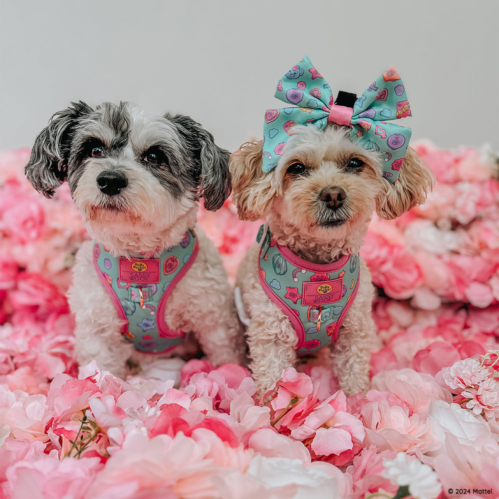 Dog Adjustable Harness - Polly Pocket™