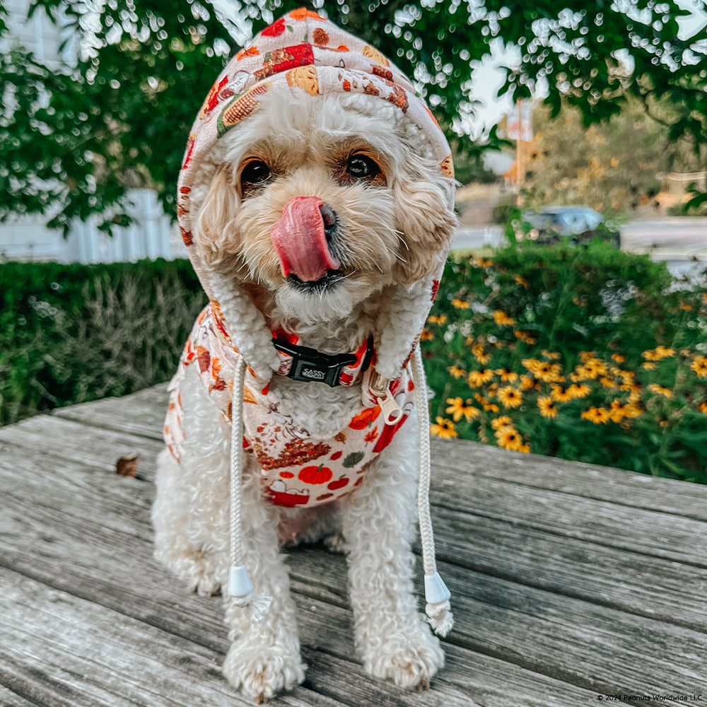 Dog Reversible Sherpa Jacket - Peanuts™ Harvest
