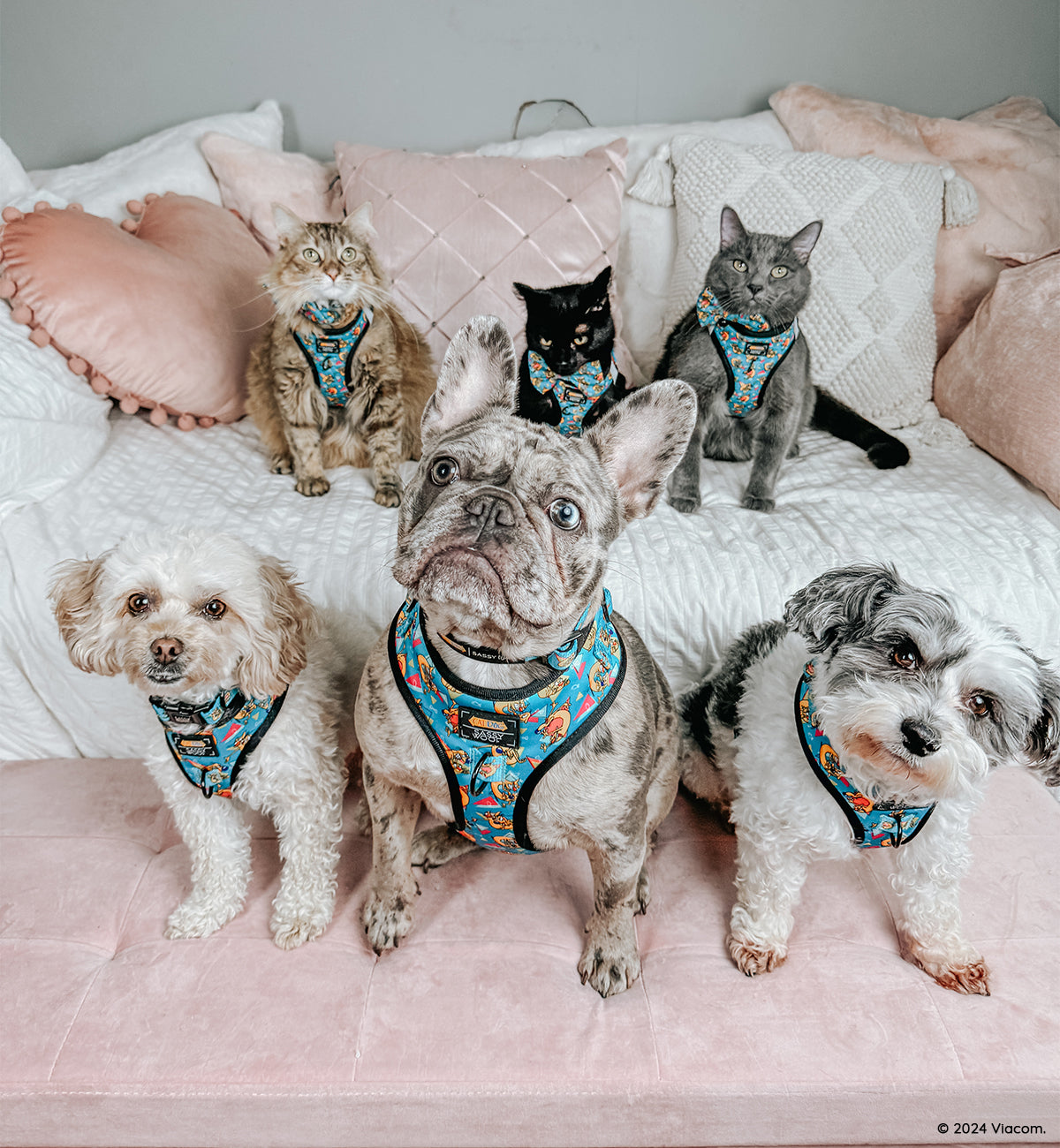 Dog Adjustable Harness - Nickelodeon CatDog™