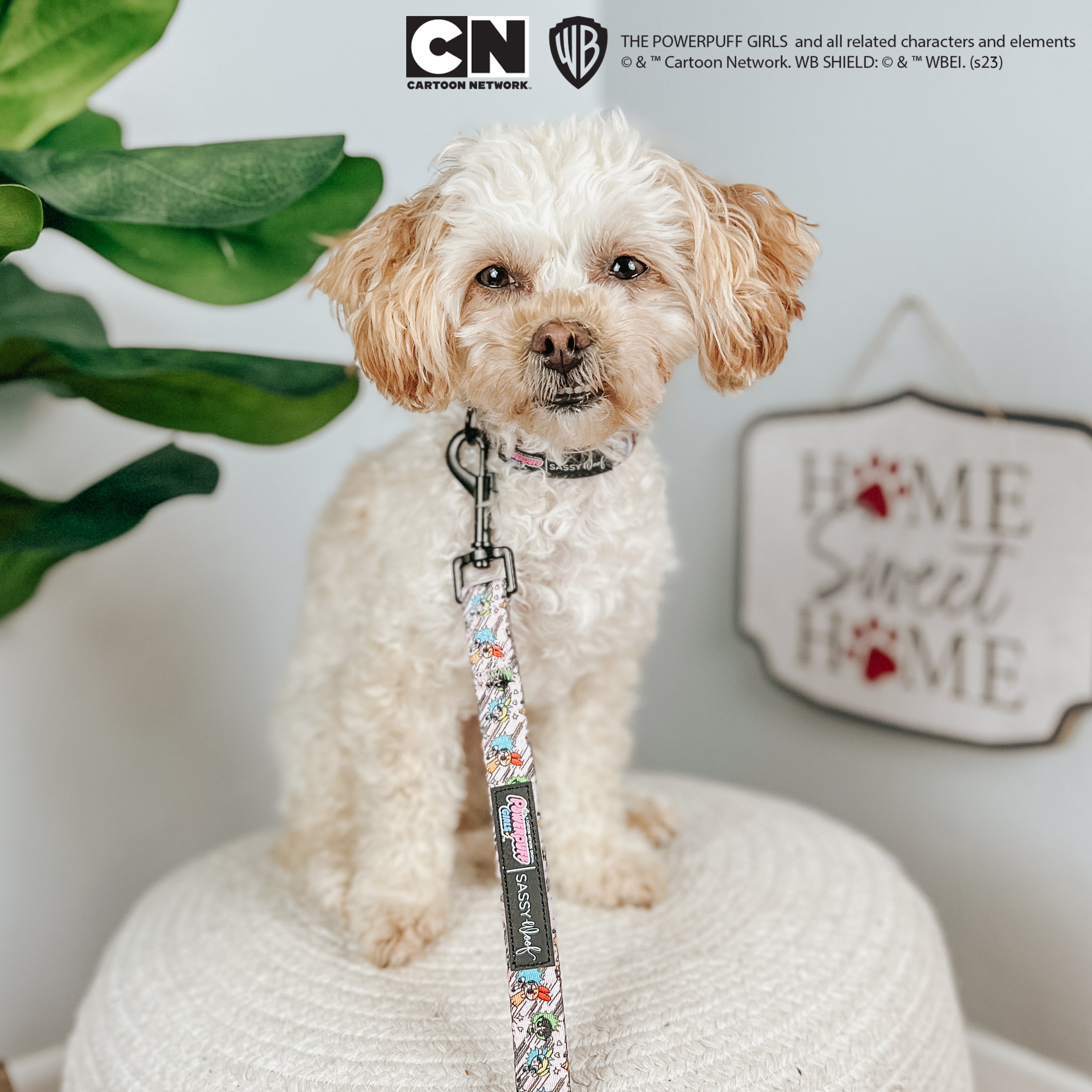Dog Collar - The Powerpuff Girls™ (Pink)