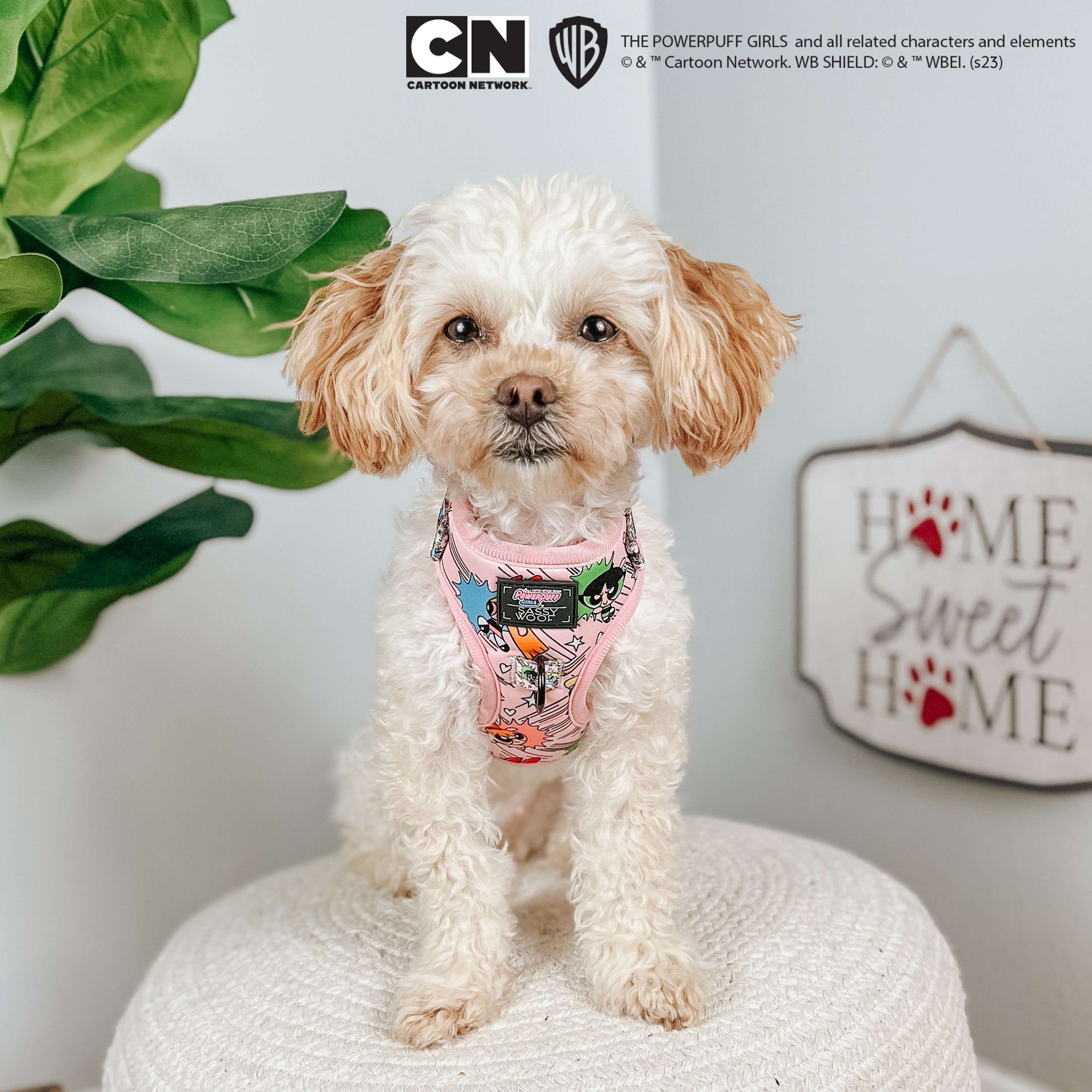 Dog Adjustable Harness - The Powerpuff Girls™ (Pink)