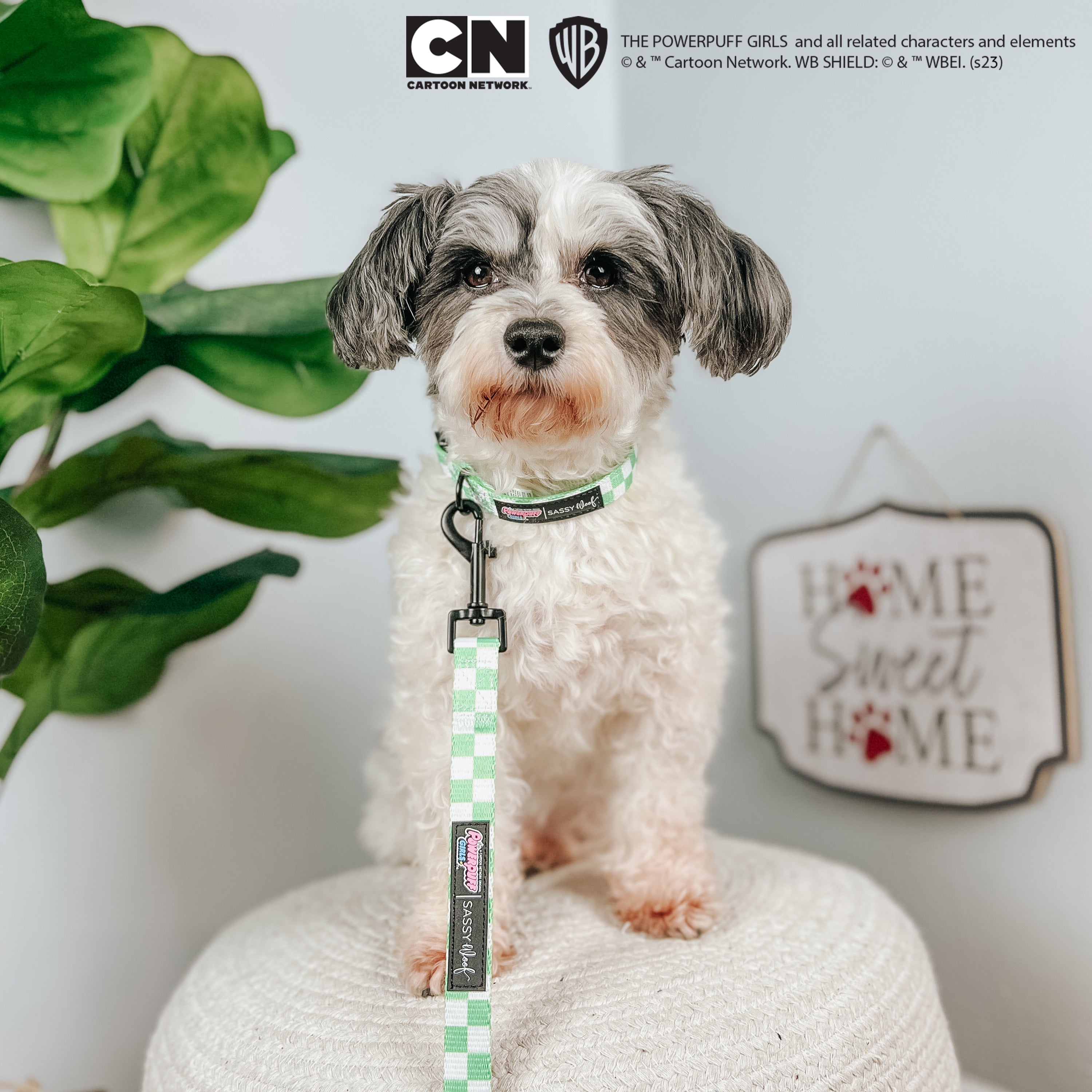 Dog Leash - The Powerpuff Girls™ (Green)