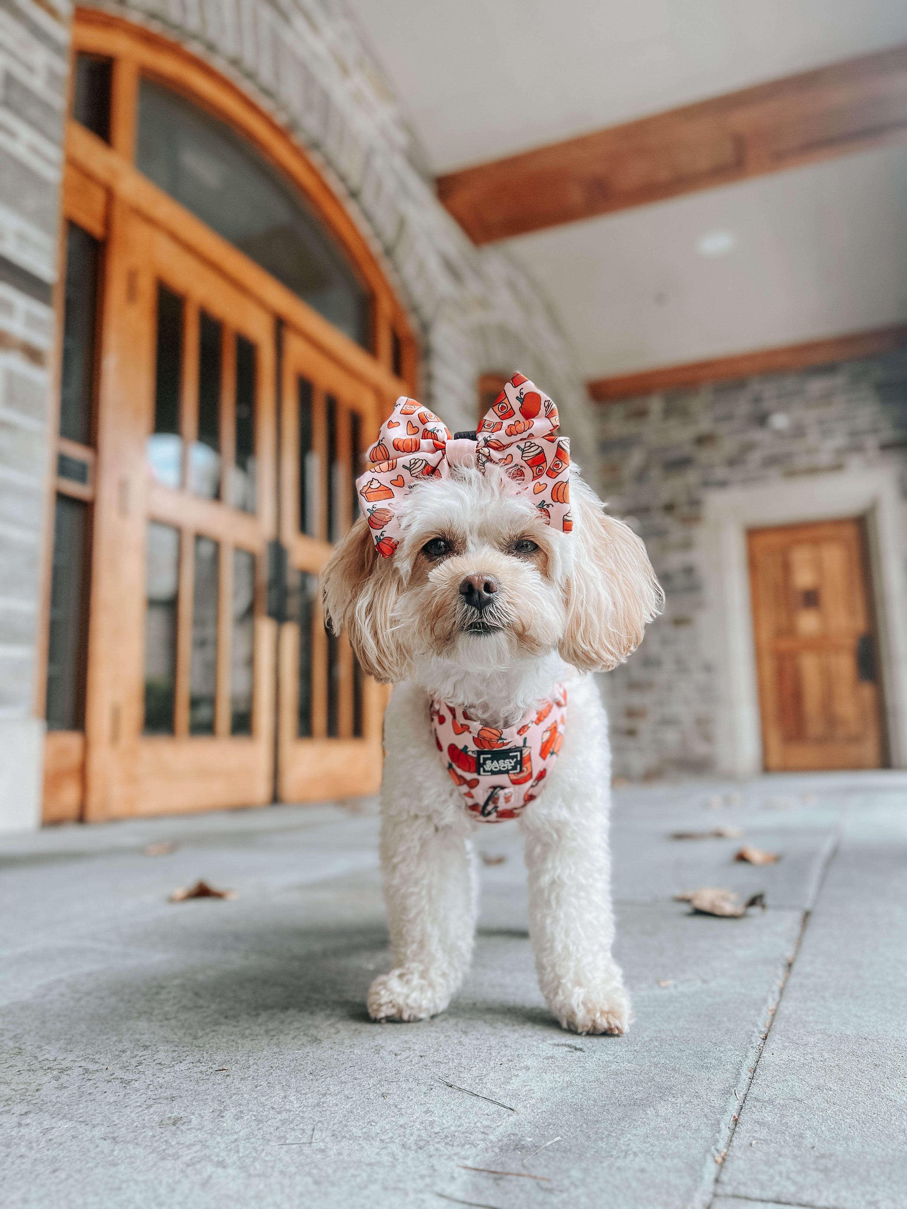Dog Adjustable Harness - Pie There!