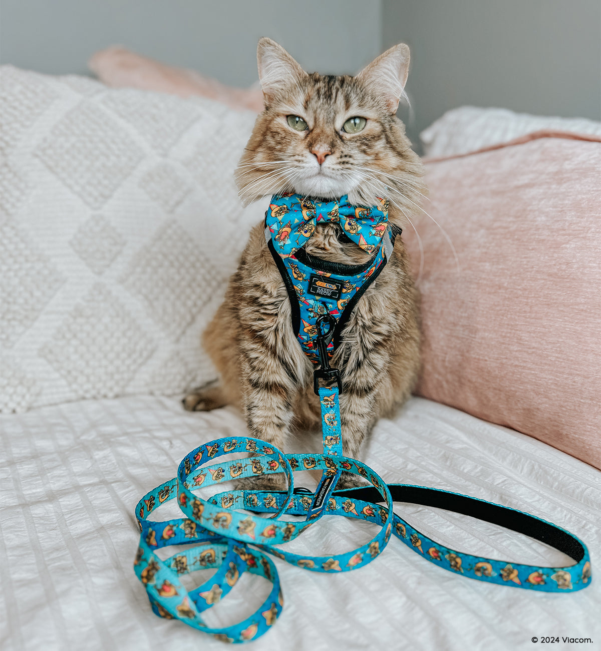 Cat Leash - Nickelodeon CatDog™