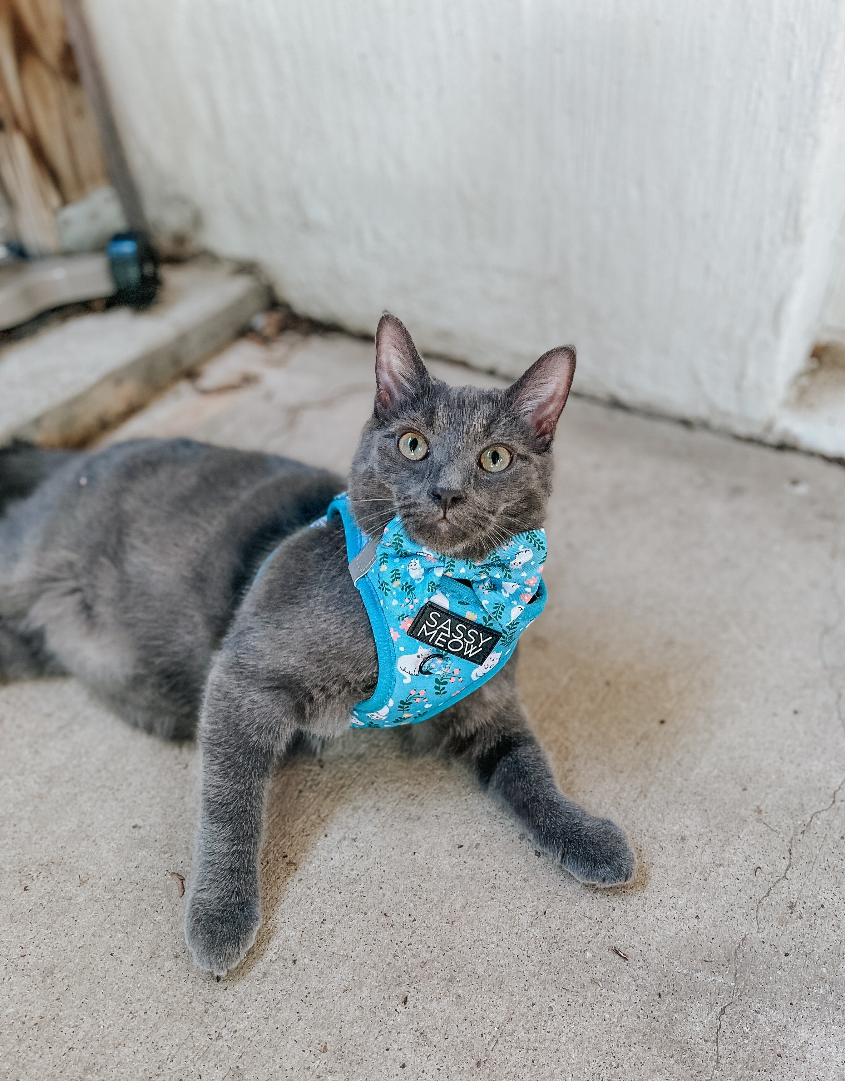 Cat Step-In Harness - Purrs & Petals