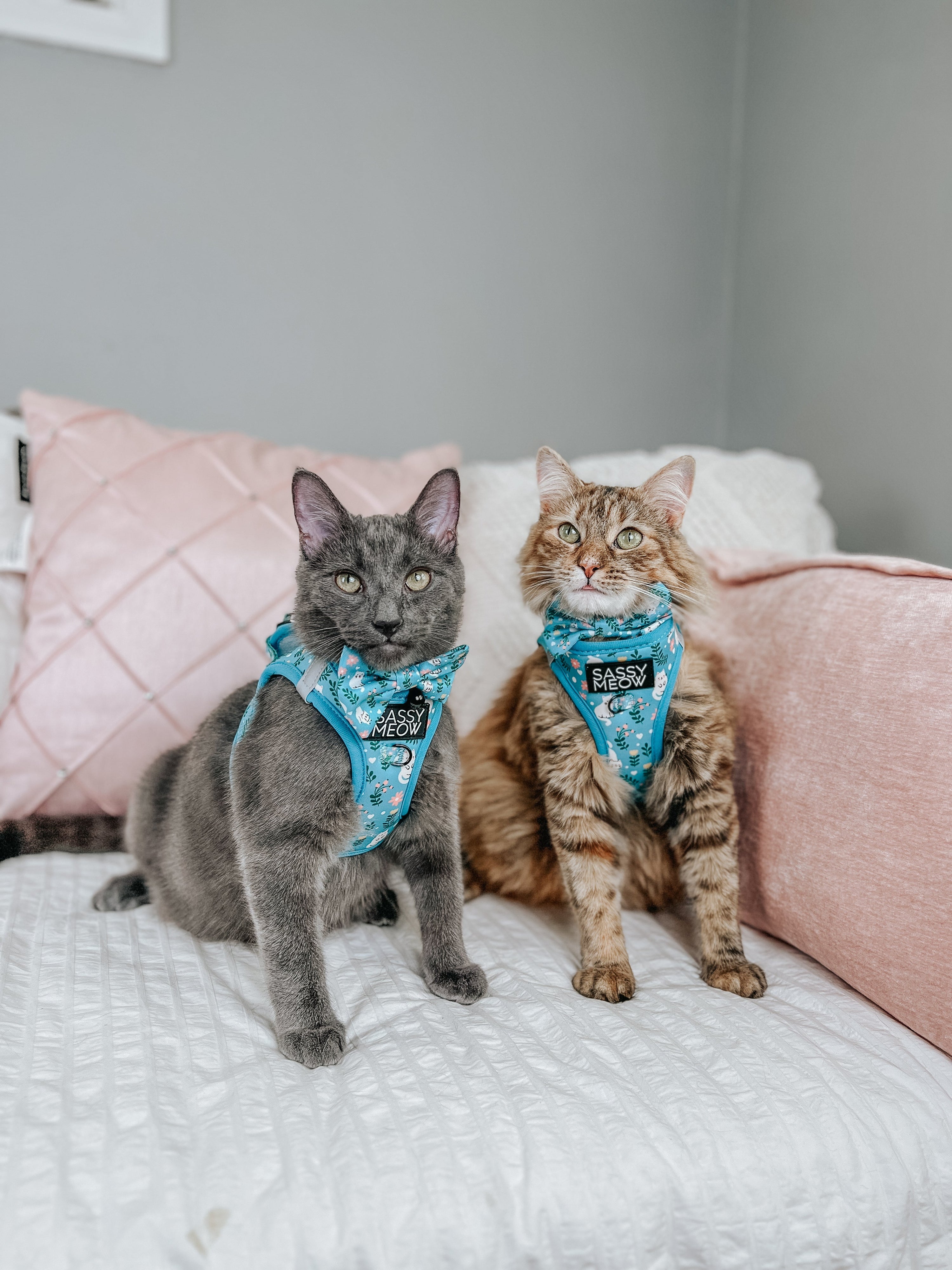 Cat Step-In Harness - Purrs & Petals
