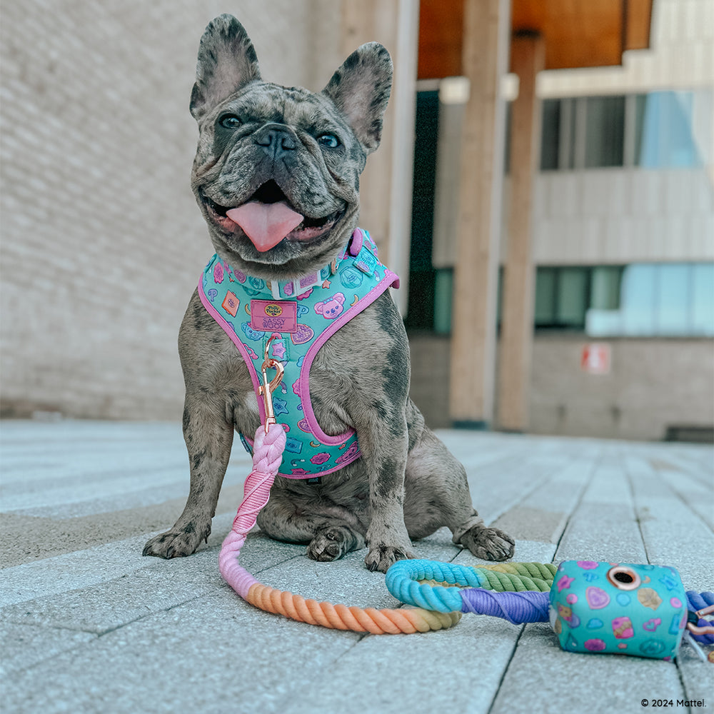Dog Adjustable Harness - Polly Pocket™