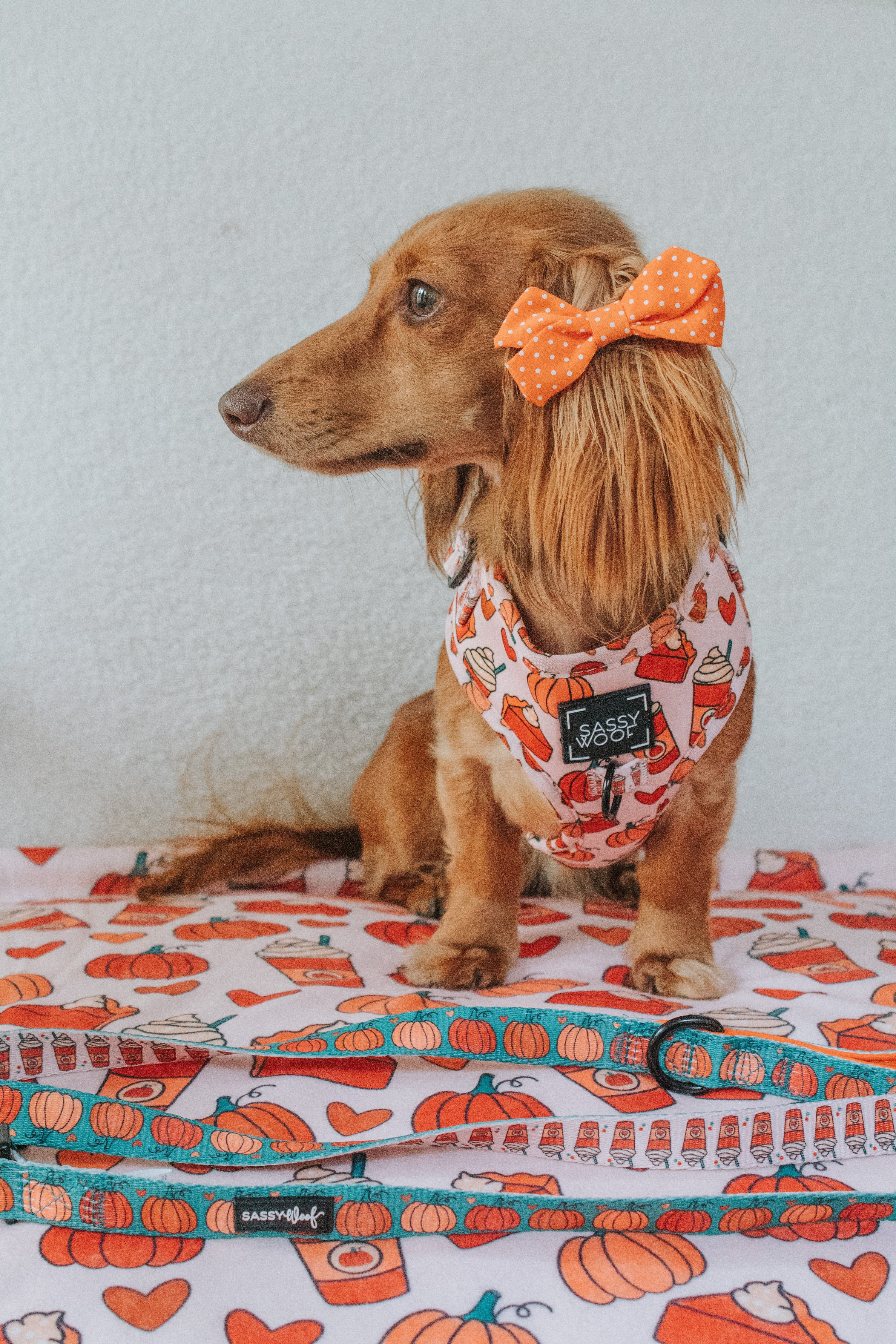 Dog Adjustable Harness - Pie There!
