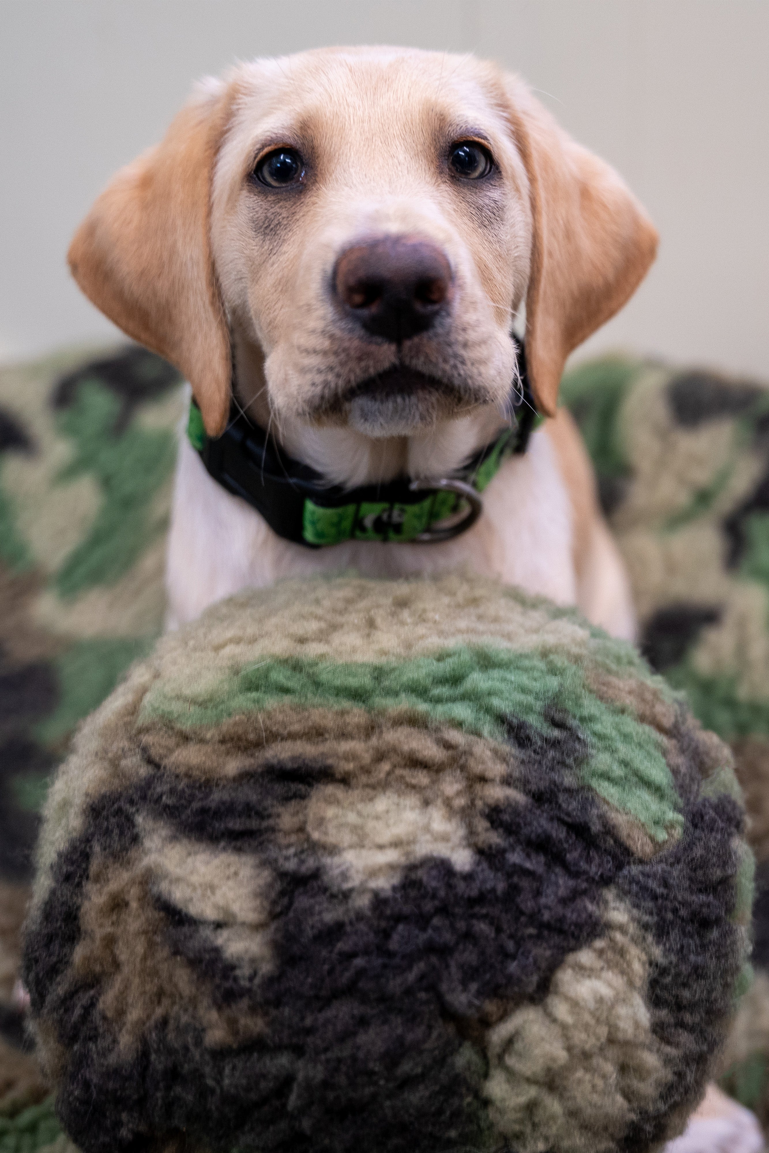HuggleCauseTM, Warrior Canine Connection, Camouflage HuggleFleece Plush Ball Dog Toy