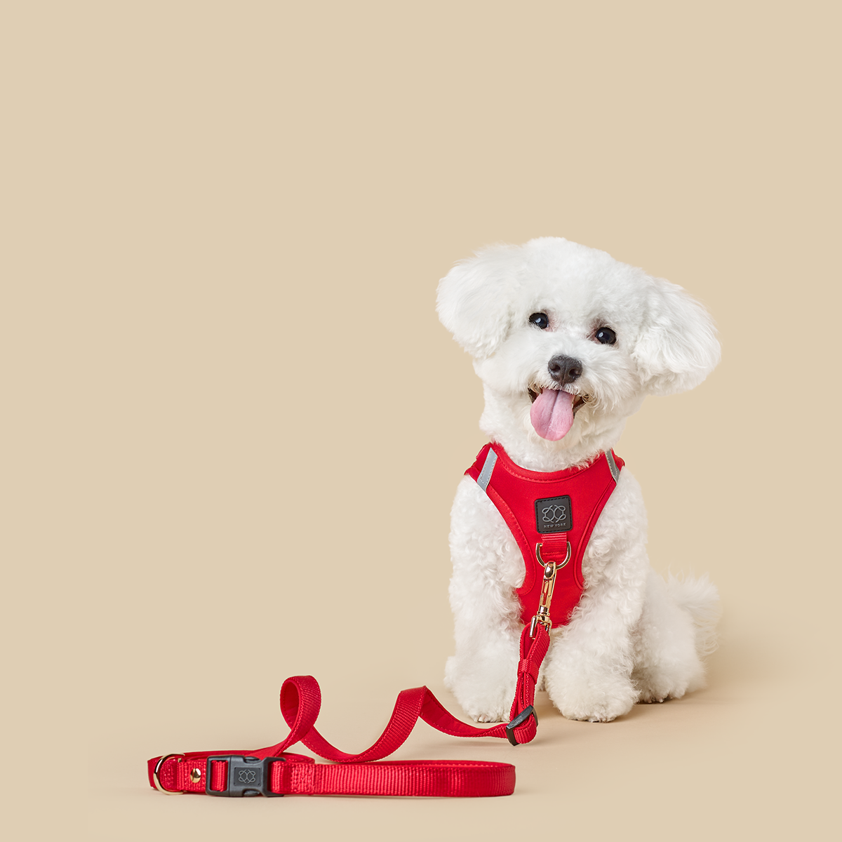 DOGISTRY 3-in-1 City Dog Leash - Iconic Red