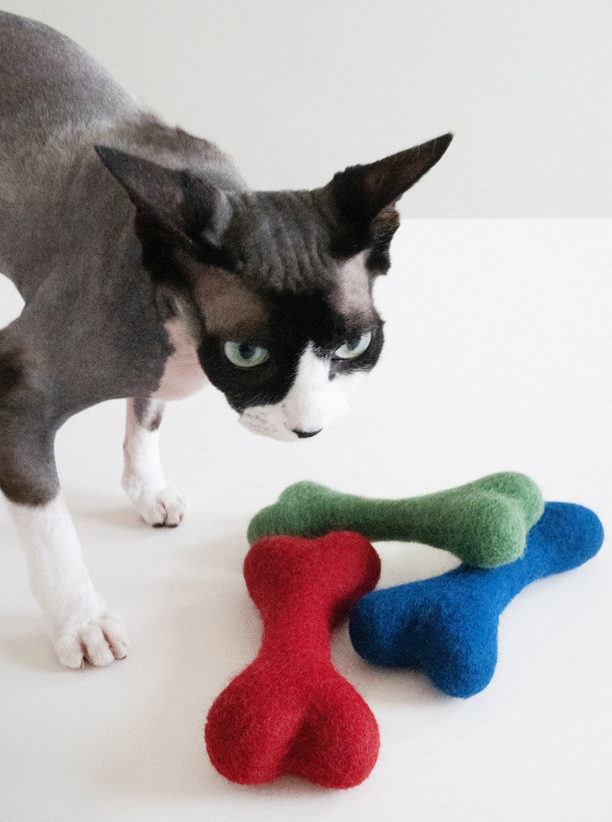 MB WOOLBONE - HT Animal Supply