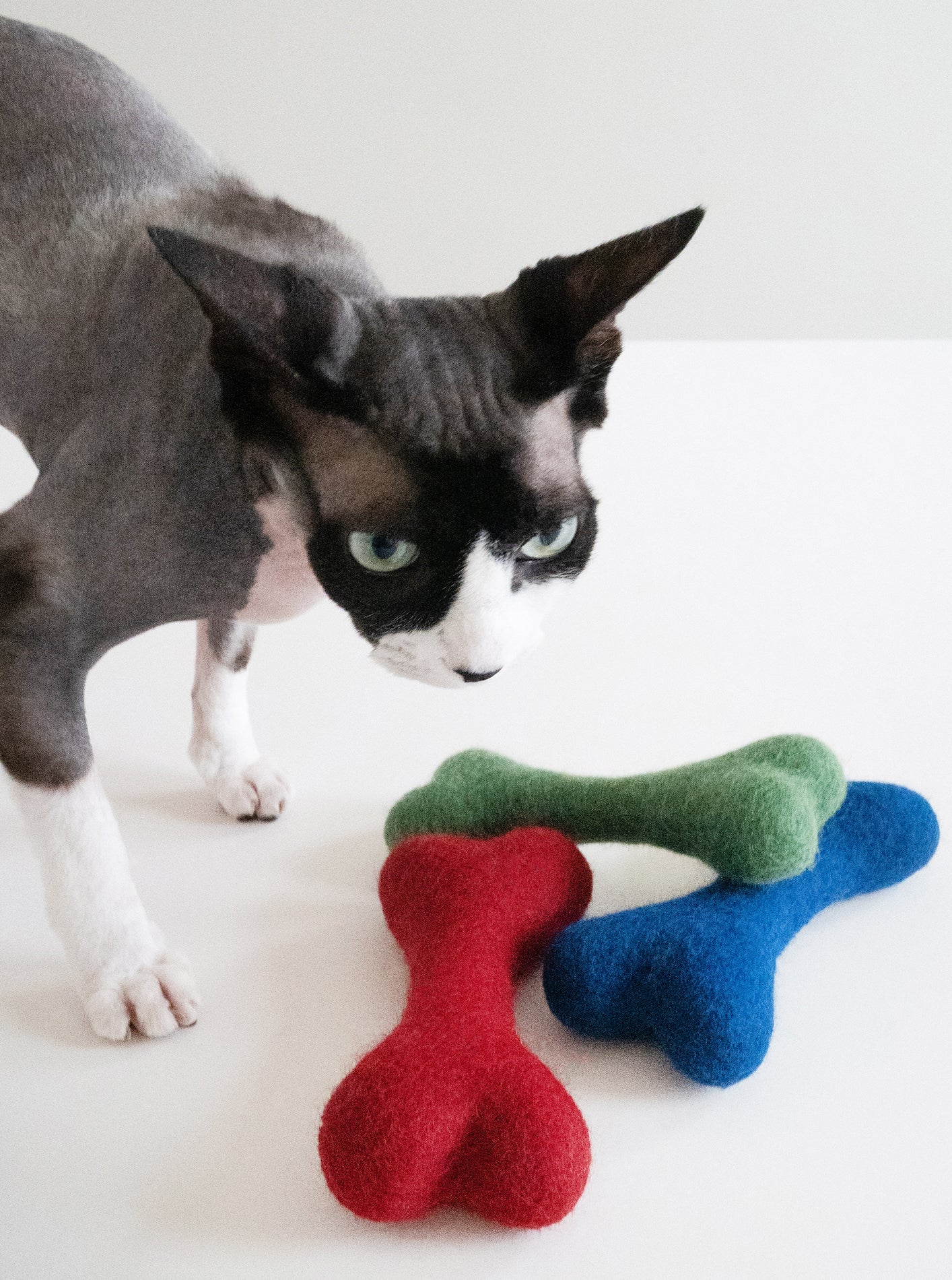 MB WOOLBONE - HT Animal Supply