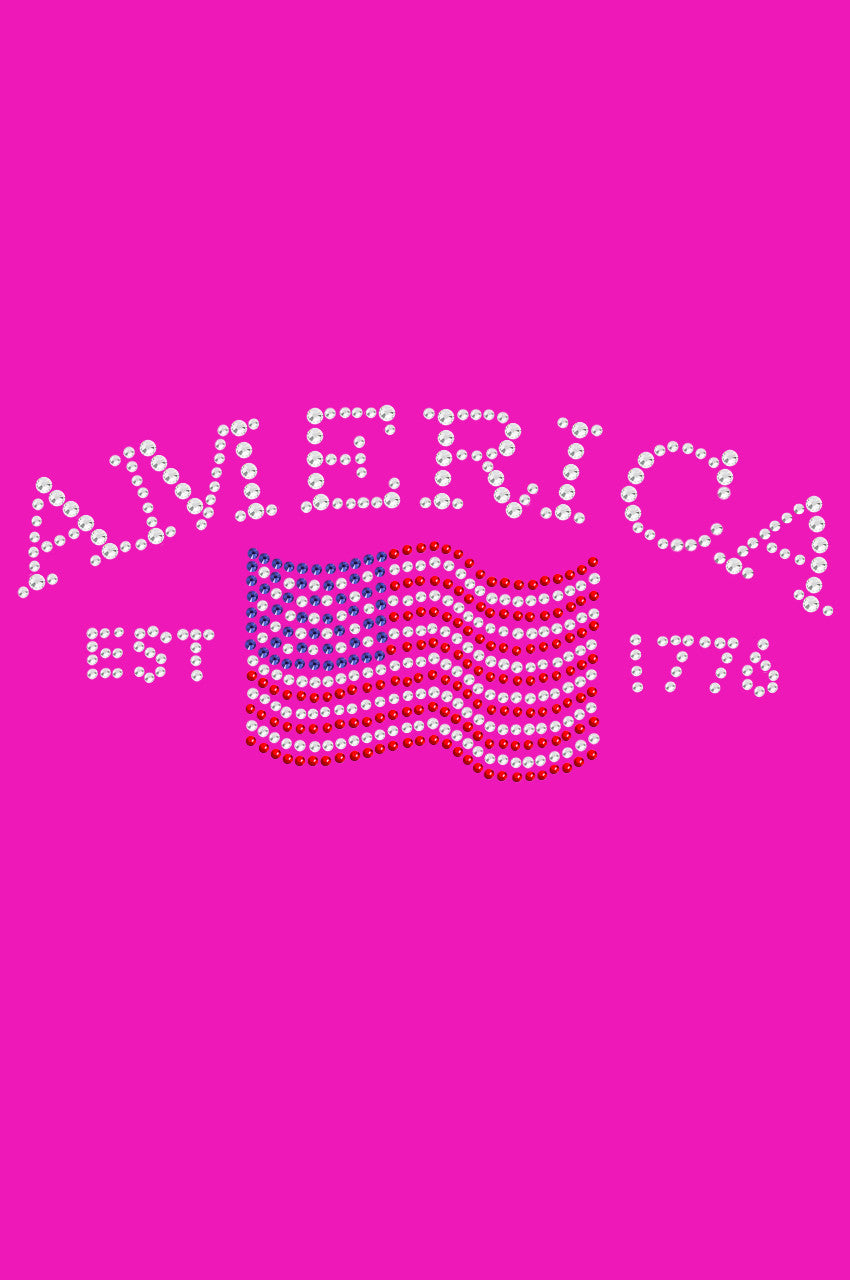 America - Womens T-shirt