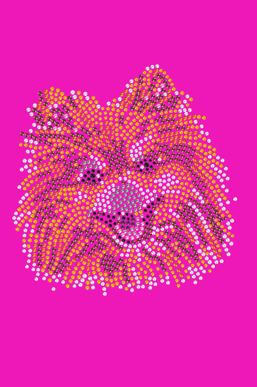 Pomeranian - bandana