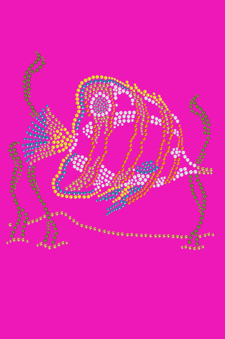 Fish (Orange & Blue) - Women's T-shirt