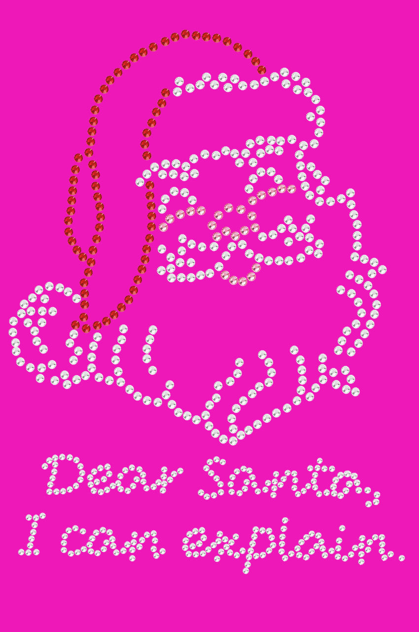 Santa Face - I Can Explain - Womens T-shirt