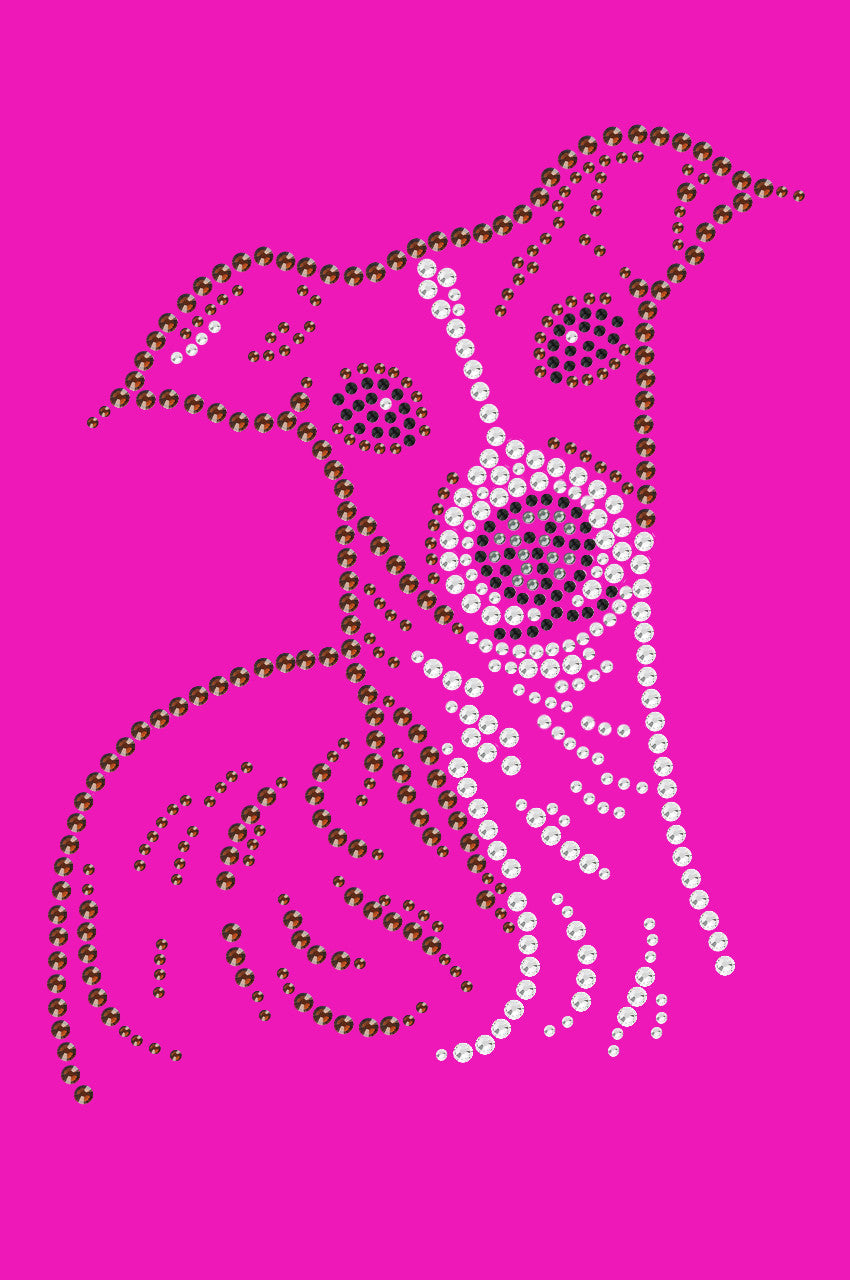 Italian Greyhound Face - bandana