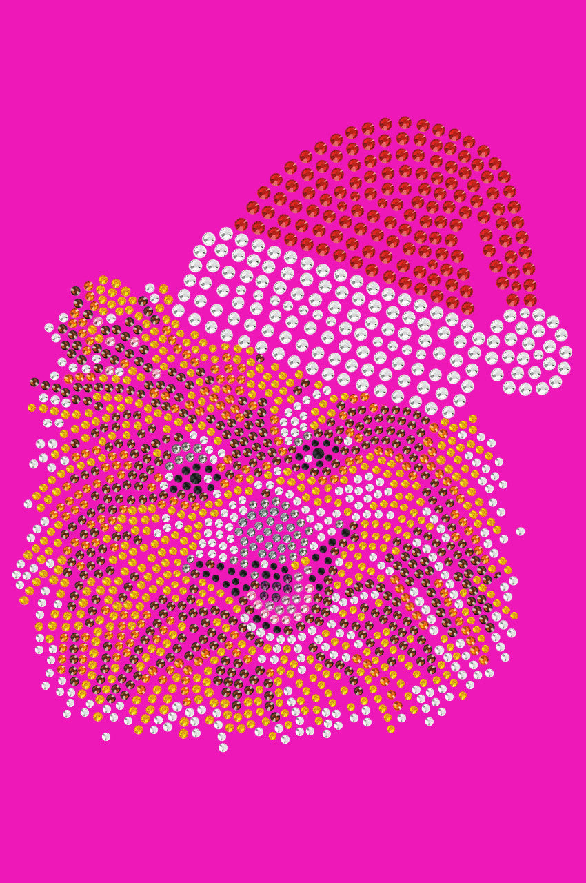 Pomeranian with Santa Hat - Womens T-shirt