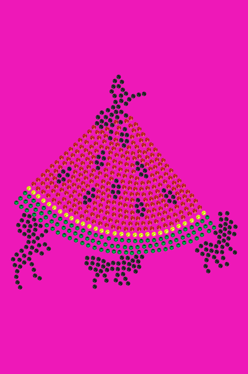 Watermelon with Ants - Womens T-shirt