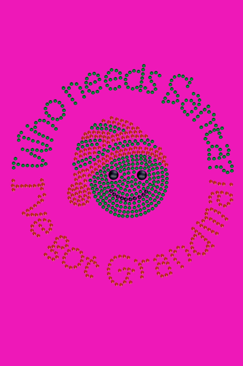 Who Needs Santa - I've Got Grandma - Women's T-shirt