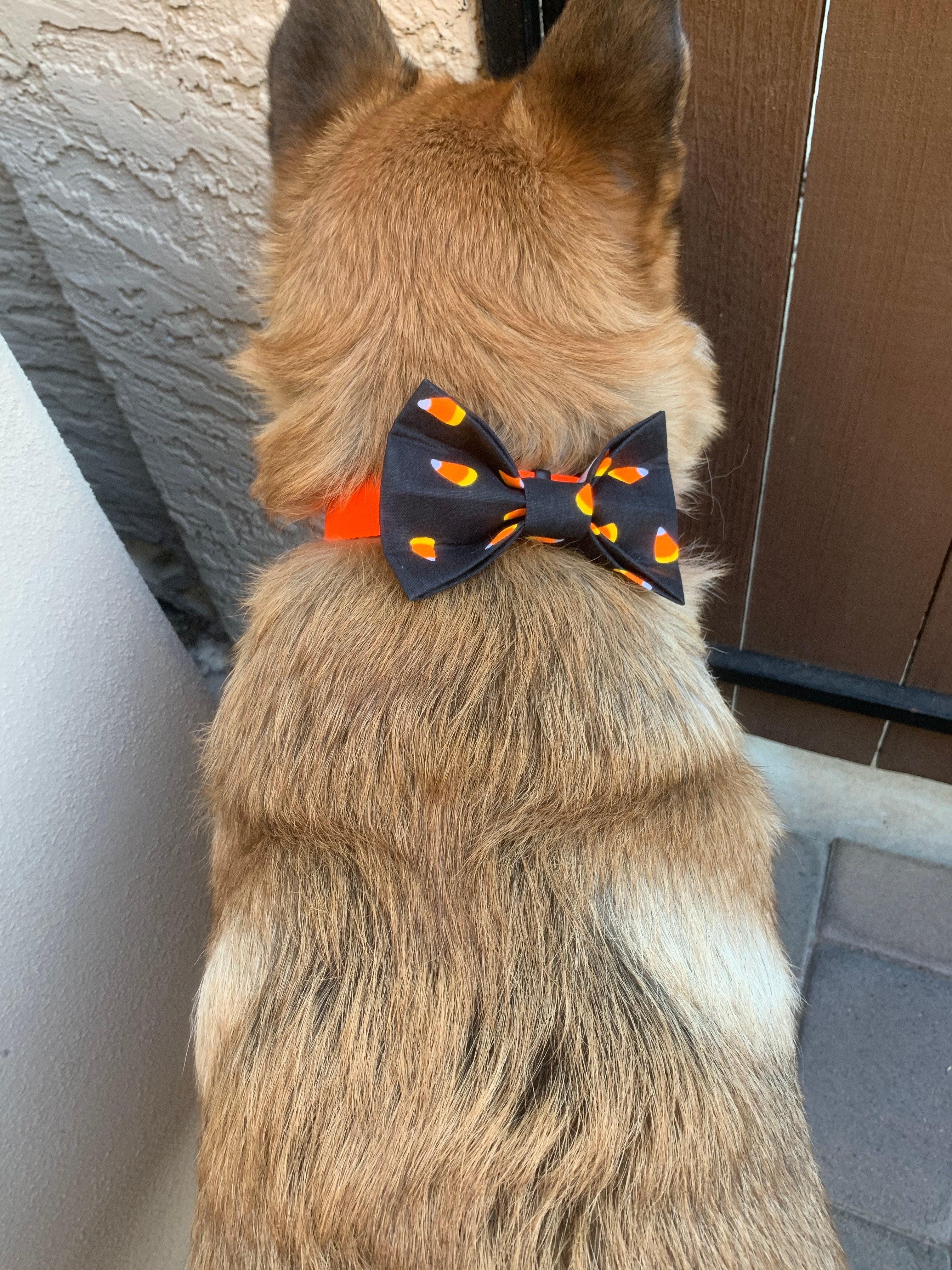 Halloween Bow Ties
