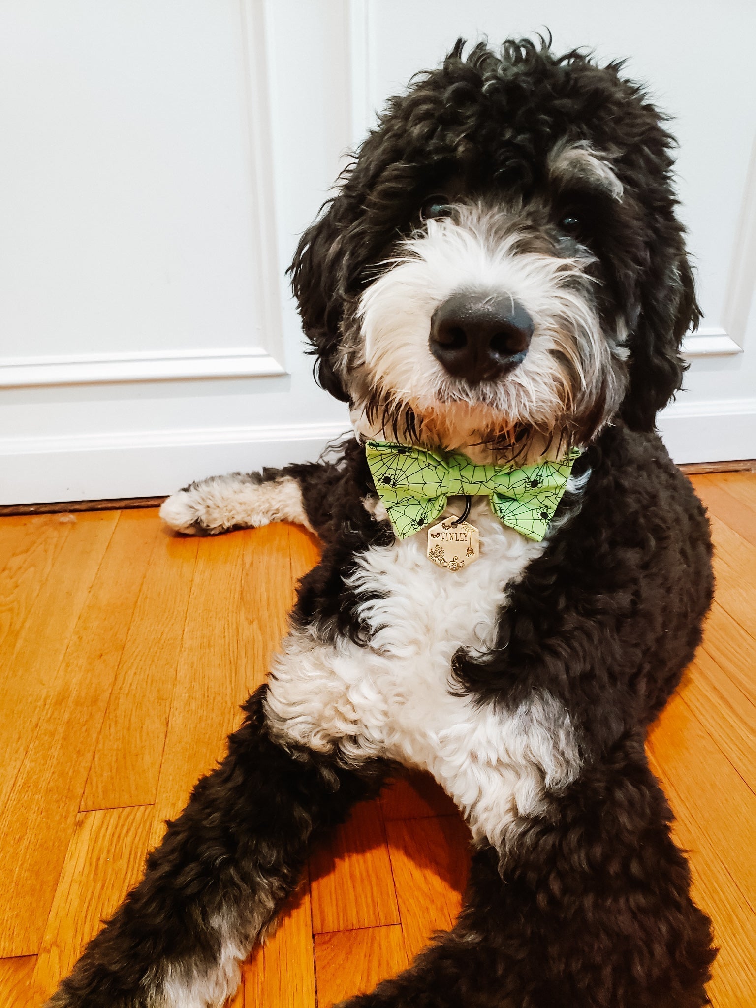 Halloween Bow Ties