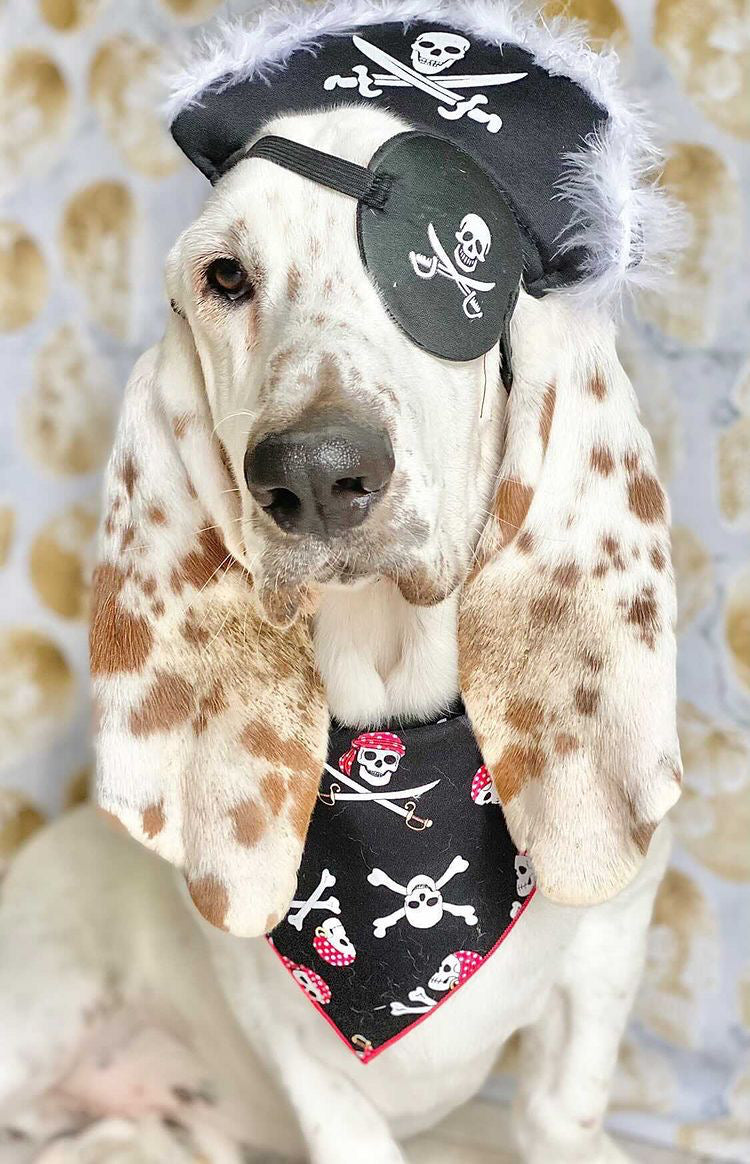 Halloween Dog Bandana Jolly Roger Skull