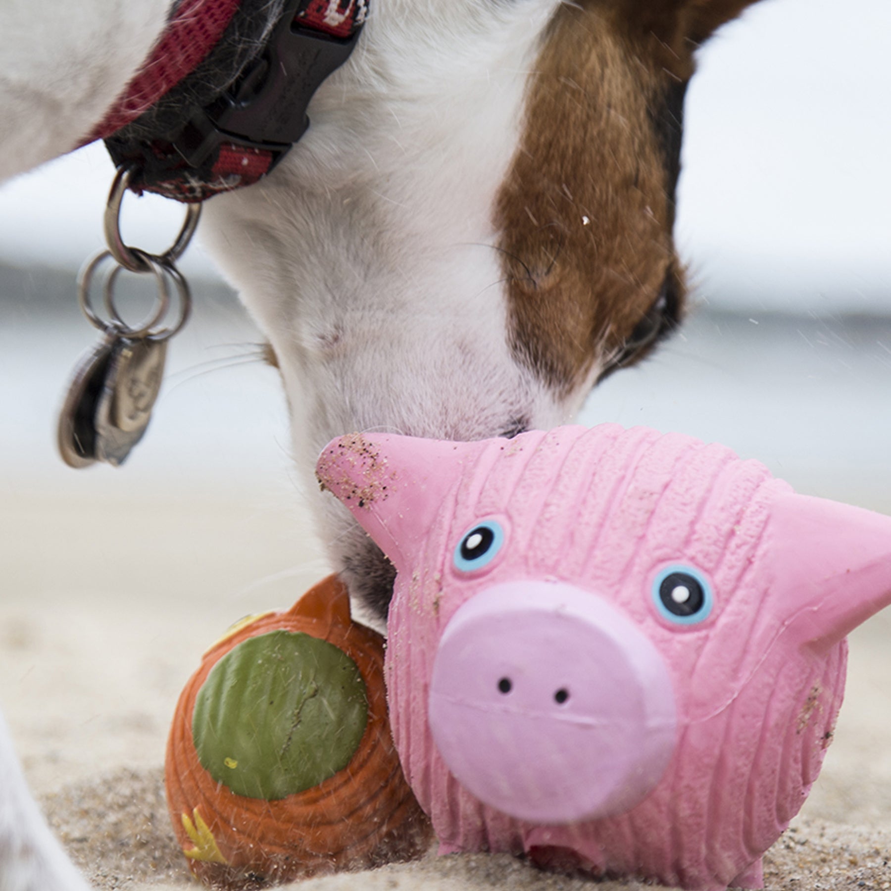 Hamlet Pig Ruff-Tex Latex Ball Dog Toy, Large