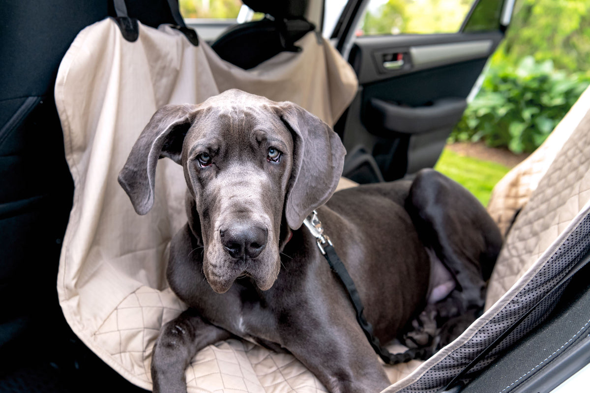 TuffutLuxx Vehicle Protectors for Travel