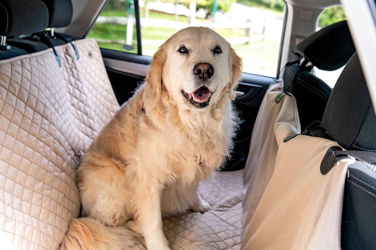 TuffutLuxx Vehicle Protectors for Travel