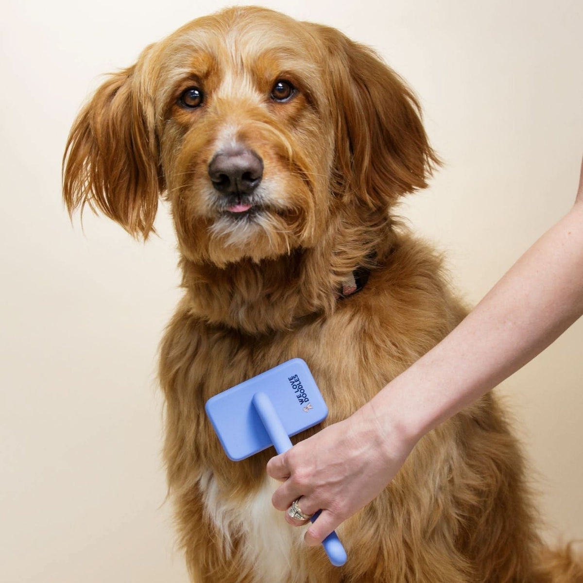 Slicker Brush for Dogs