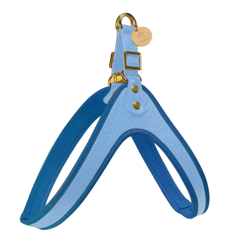 Step-In Harness - Ocean Vibes