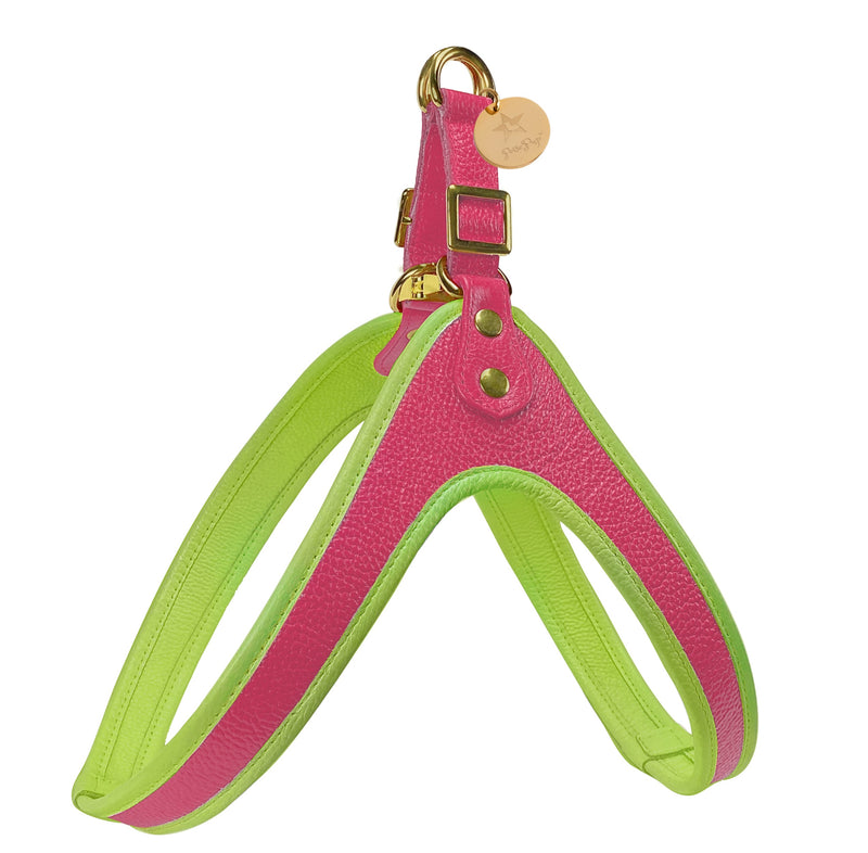 Step-In Harness - Candy Swirl