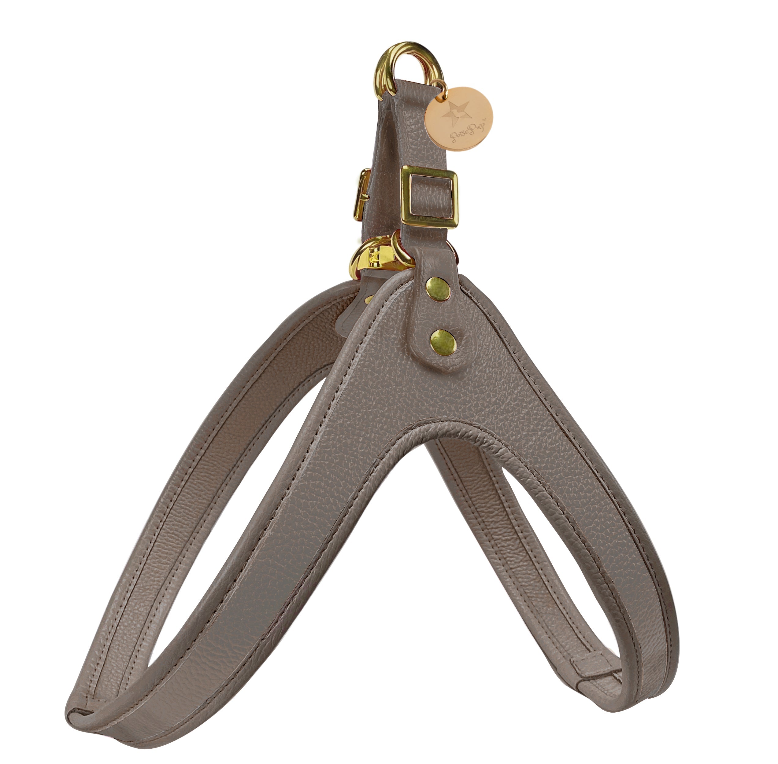 Step-In Harness - Desert Mint