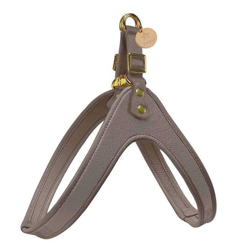 Step-In Harness - Desert Mint