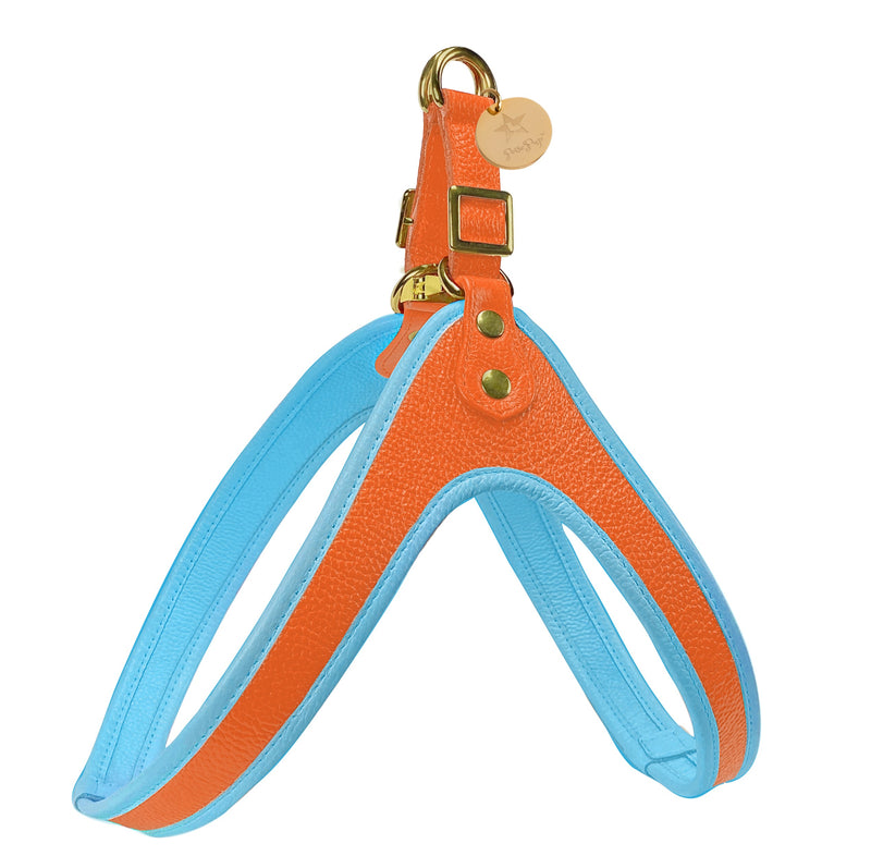 Step-In Harness - Vibrant Sunset