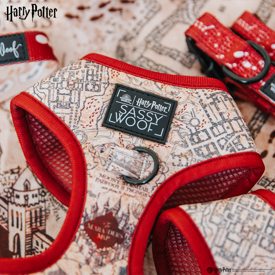Dog Adjustable Harness - Harry Potter™ Marauders Map™