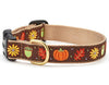 Up Country Harvest Time Cast Brass Dog Collar