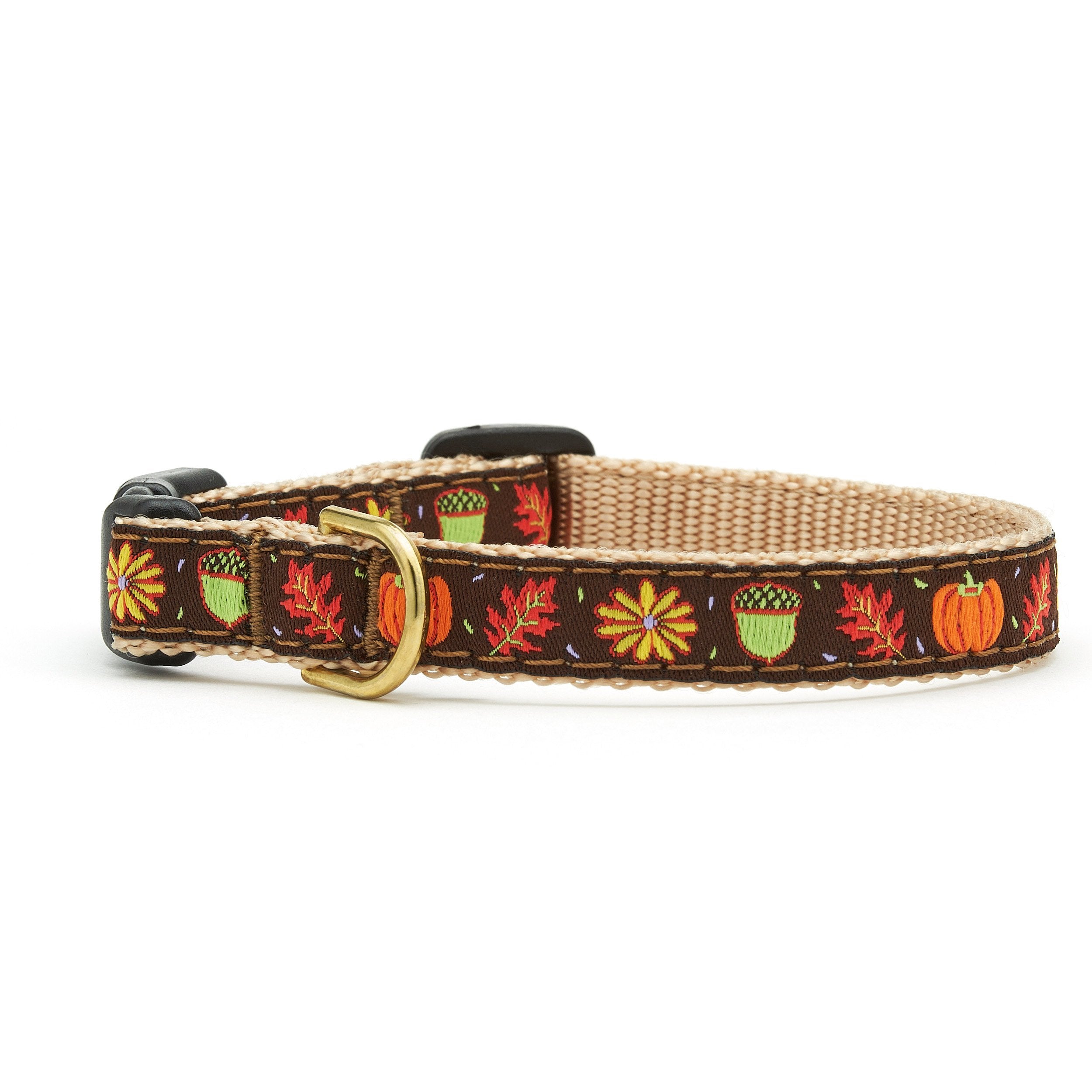 Harvest Time Small Breed Dog Collar